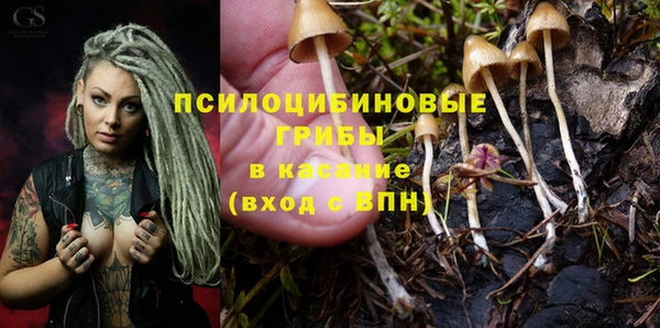 не бодяженный Арсеньев