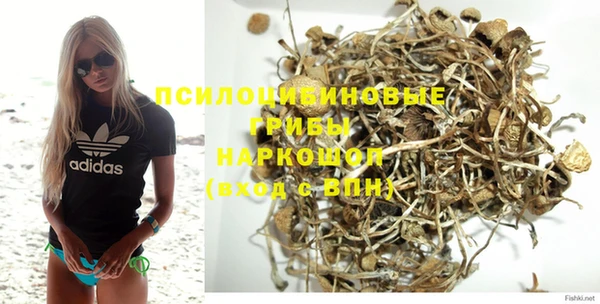 Альфа ПВП Аркадак