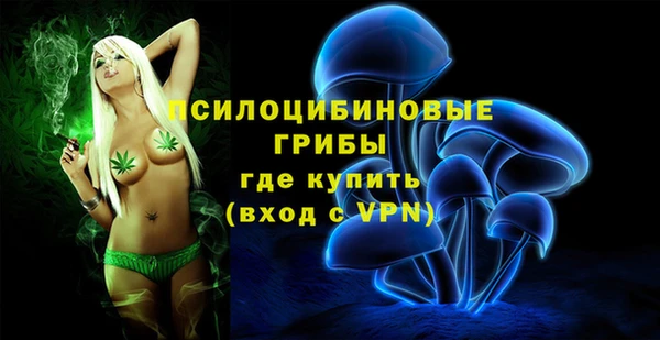 не бодяженный Арсеньев