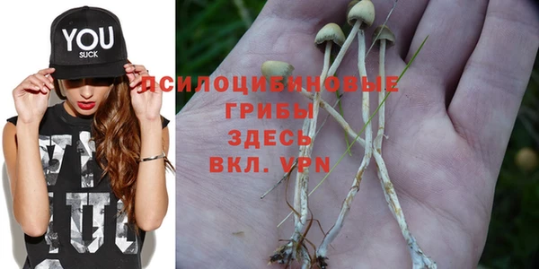 Альфа ПВП Аркадак