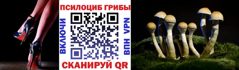 Галлюциногенные грибы MAGIC MUSHROOMS Подольск